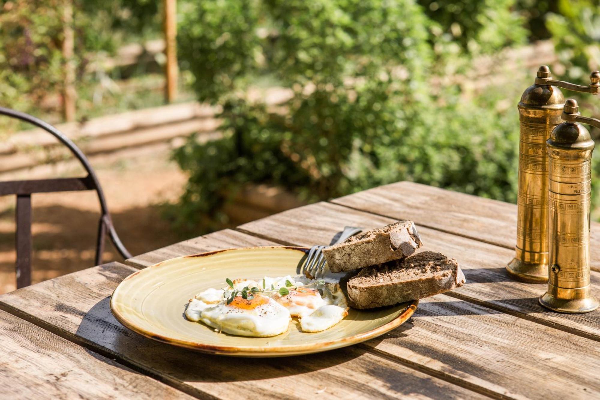 Phaea Cretan Malia, A Member Of Design Hotels Exterior foto